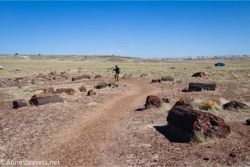A trail between petrified wood chunks and views across a desert plain