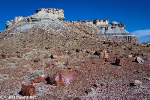 Petrified wood and badlands topped with rock formations