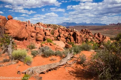 Clouds over mountains and rock formations and a dead tree on the ground