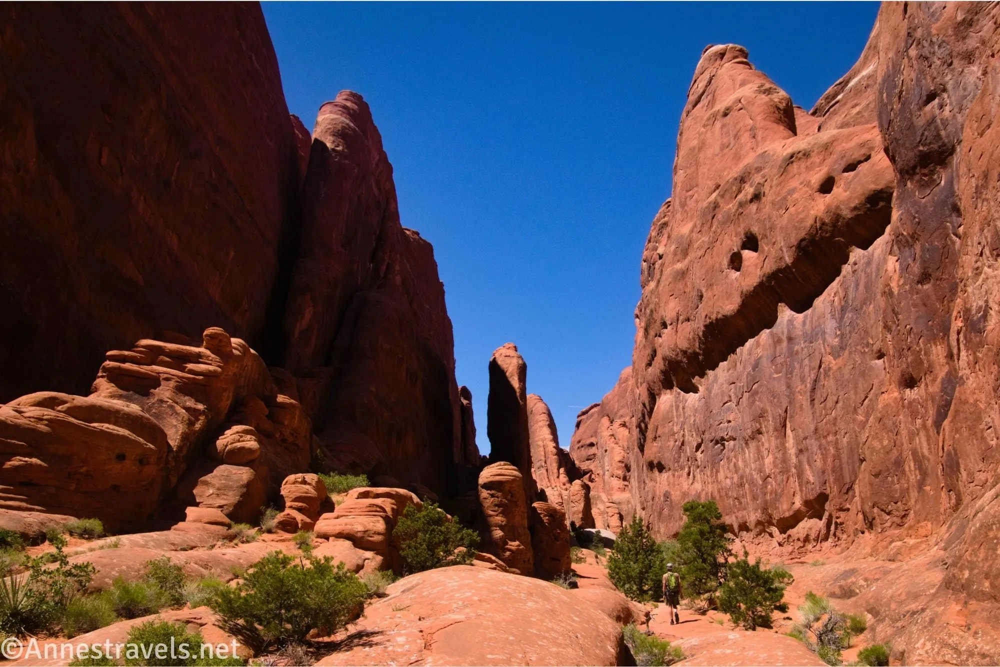 Rock fins rise on either side of a slickrock-bottomed canyon 