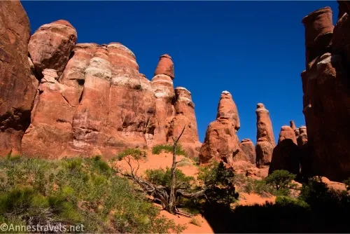 Red and white rock spires above green foliage