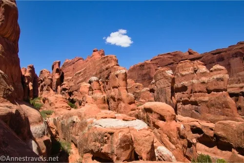 A single cloud in the blue sky above red and white slickrock fins and spires