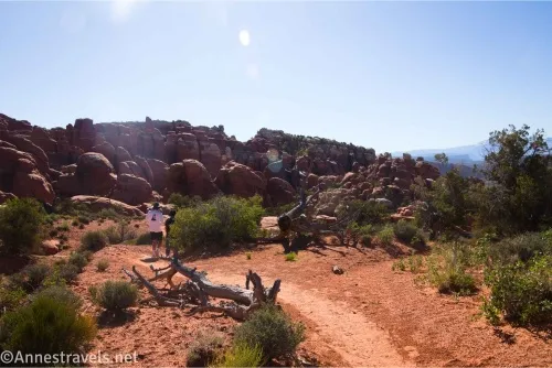 A trail in red dirt with distant rock formations