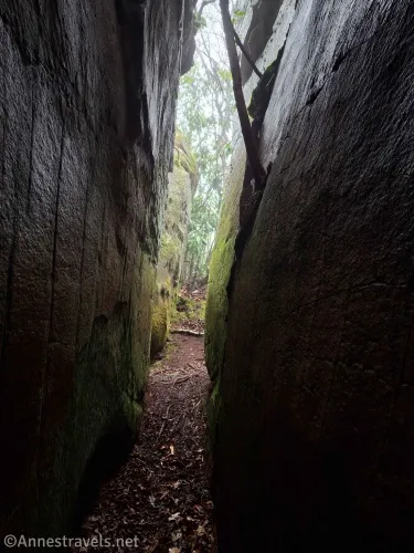 A narrow slot canyon between two mossy rocks with views of trees at the end of the canyon