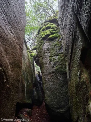 Mossy rock walls tower to trees above