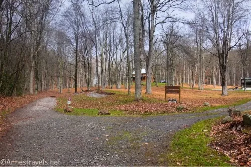 A road divides in two near a sign in a forest with a house in the distance 