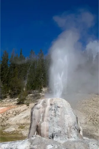 A geothermal dome spouts water and water vapor into the air in front of a geothermal hill, trees, and a blue sky