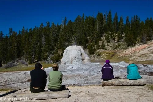 Four people sit on logs beside a geothermal dome with forest against the blue sky 