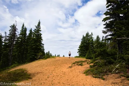 Clouds above a forest with a hiker on a brown gravel hillside
