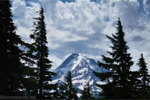 Clouds over a snowy volcano and silhouetted trees