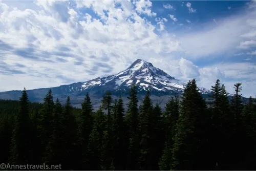 Clouds in a blue sky over a snowy volcano with silhouetted trees in the foreground 