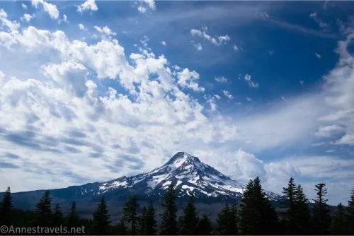 Clouds in a blue sky above a snowy volcano and silhouetted trees 
