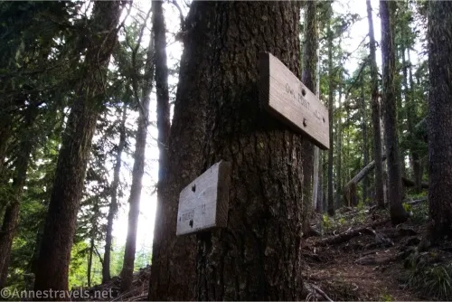 Two signs bolted to a tree in a forest 