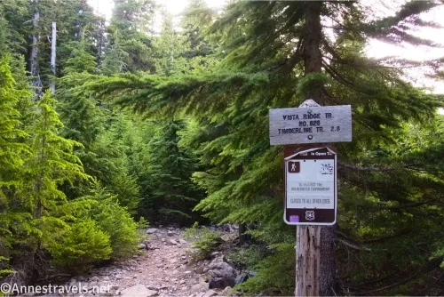 Sign beside a gravel trail in a fir forest