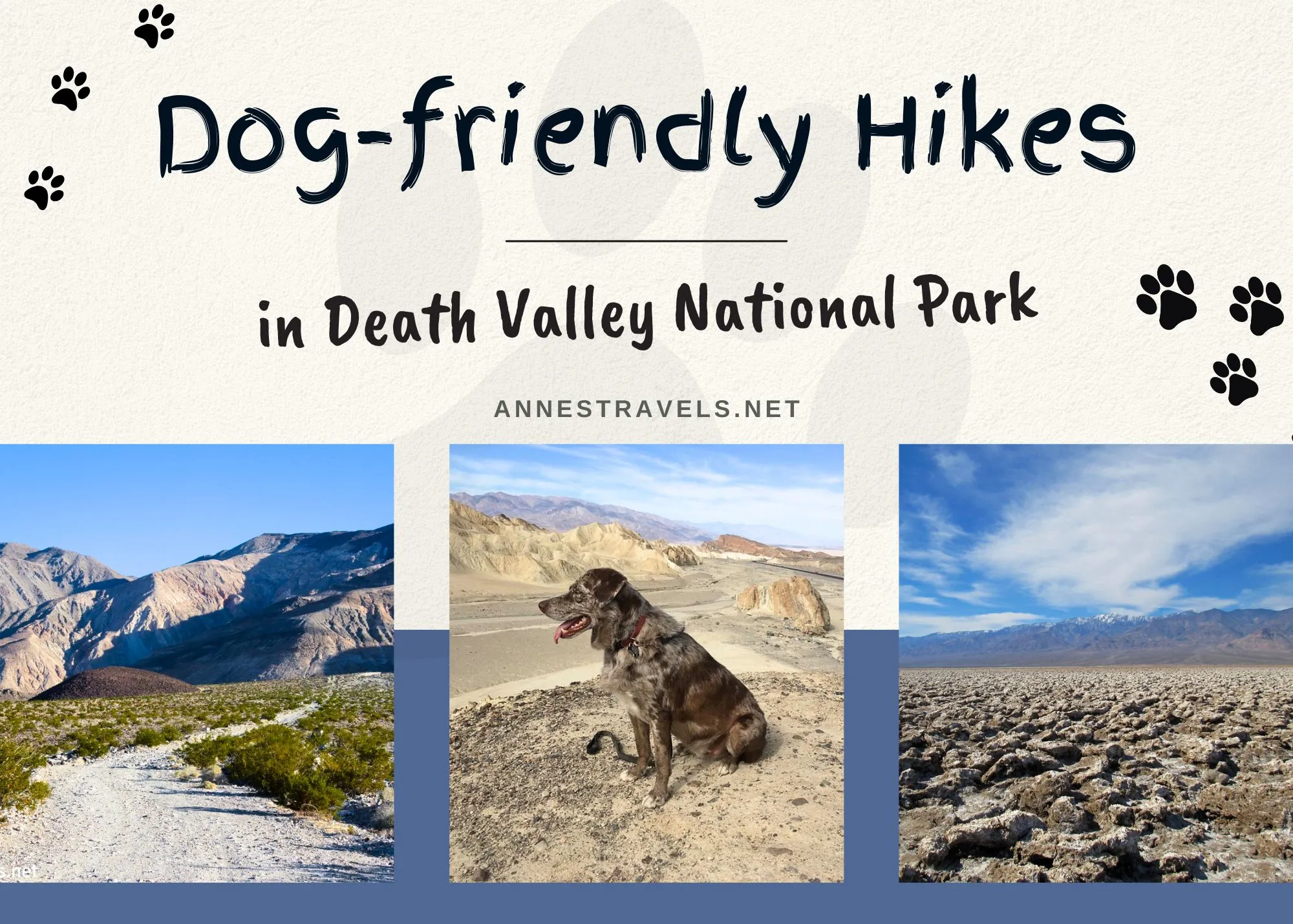 Text Dog-friendly Hikes in Death Valley National Park with three pictures of a dirt road, a dog, and salt crystals and mountains, all in the park