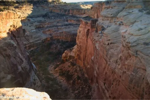 Sheer canyon walls lead down into trees and rocks