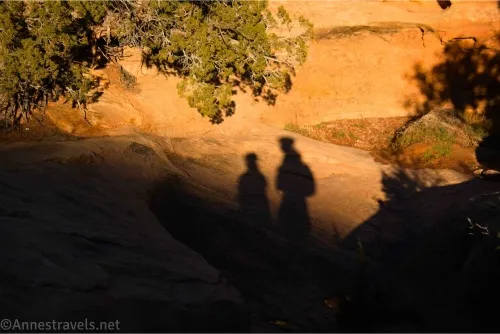 Shadows of two people on slickrock with a tree overhanging the edge of the canyon
