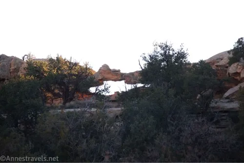 An arch surrounded by brushy trees