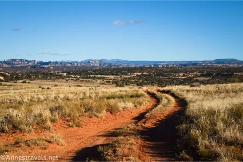 Two tire tracks in a dirt road travel across a desert meadow with distant rock formations 