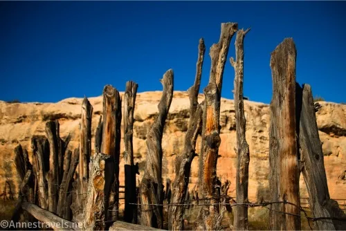Old branches make up a fence in front of a slickrock cliff 