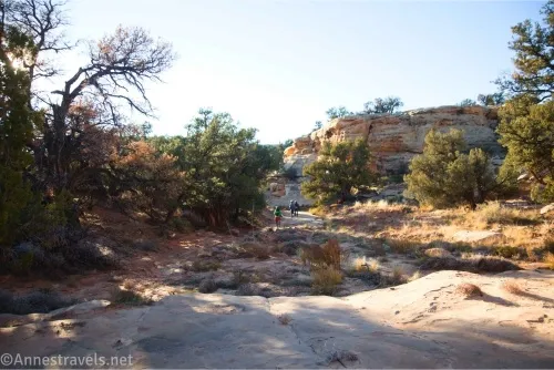 A dry watercourse bordered by trees and rocks