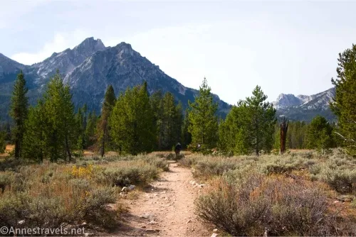 Mountains tower over a band of trees and a dry meadow with a trail running through it