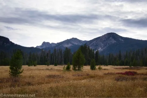 Mountains tower over trees and a yellow meadow below cloudy skies 