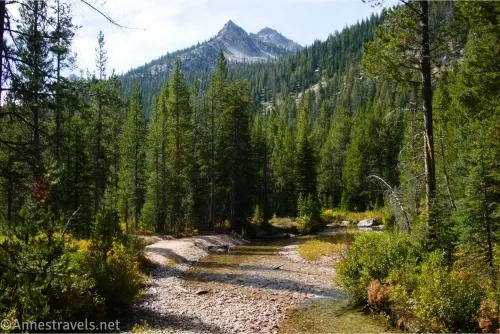 Mountains tower above a forest and a small, gravely stream 