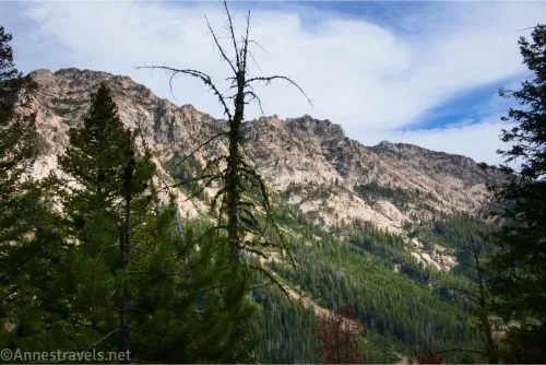 Mountain cliffs partially obscured by a fir tree and a dead tree below cloudy skies with a patch of blue sky 