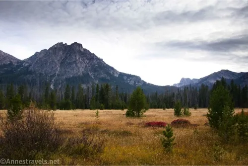 Mountains below a moody sky and above dark trees and a yellow, grassy meadow