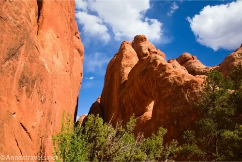 Sandstone fins rise close together over trees against a blue sky with puffy white clouds