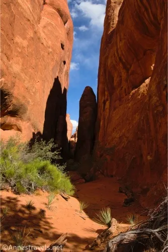 A desert canyon bordered by red slickrock walls, a sandy bottom, and desert scrub 
