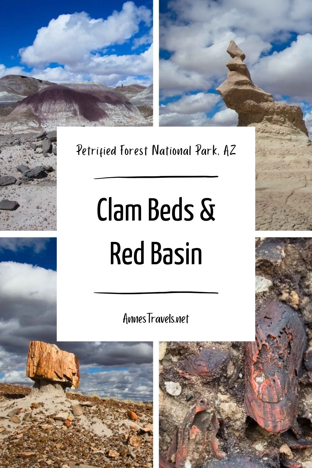 Photo collage of views along the Clam Beds and Red Basin Route in Petrified Forest National Park, Arizona