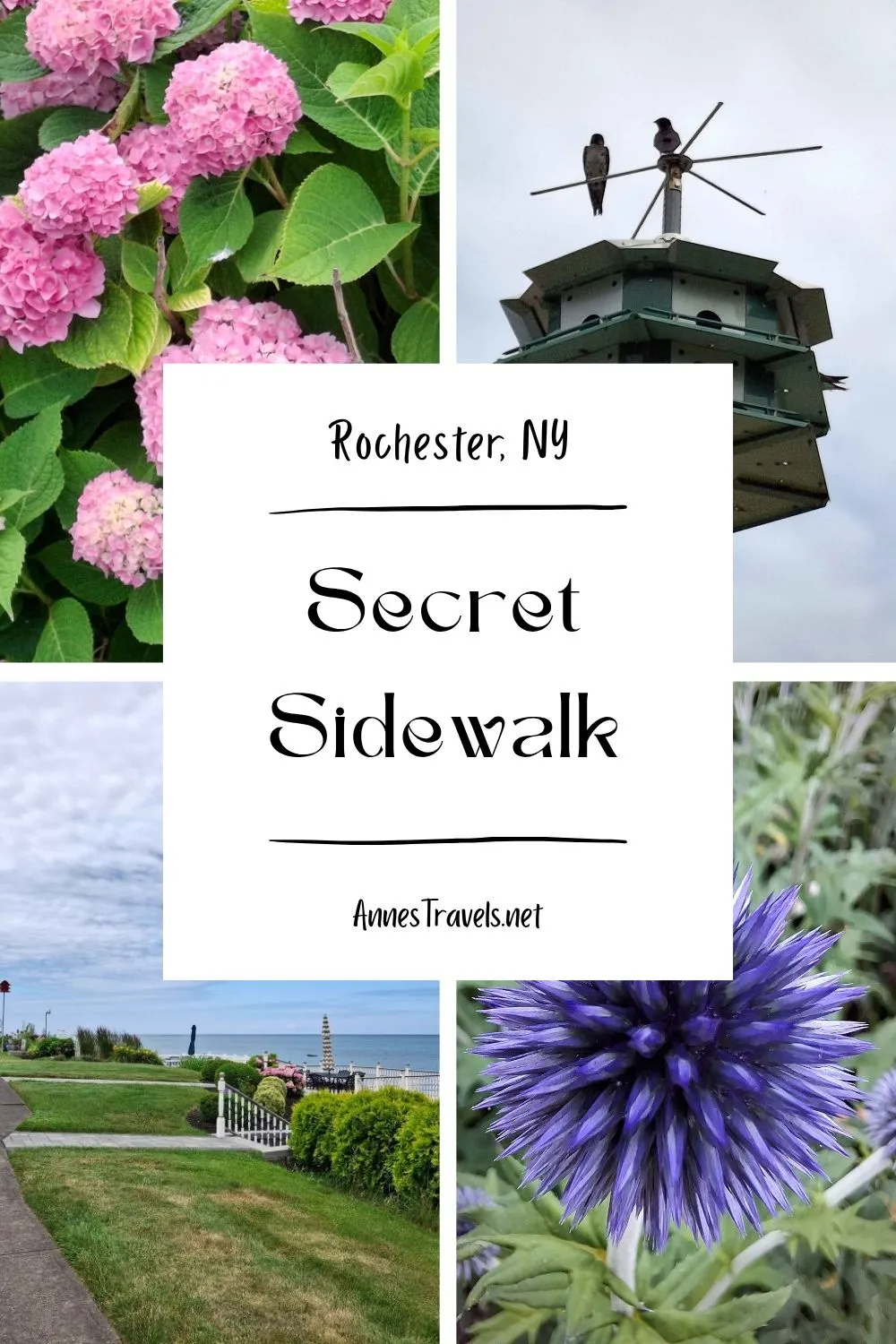 Photo collage of a few of the views and sights along the Secret Sidewalk in Rochester, New York