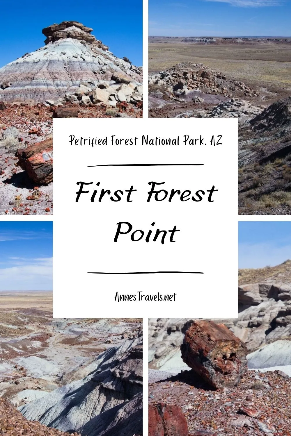 Photo collage of views around First Forest Point in Petrified Forest National Park, Arizona 