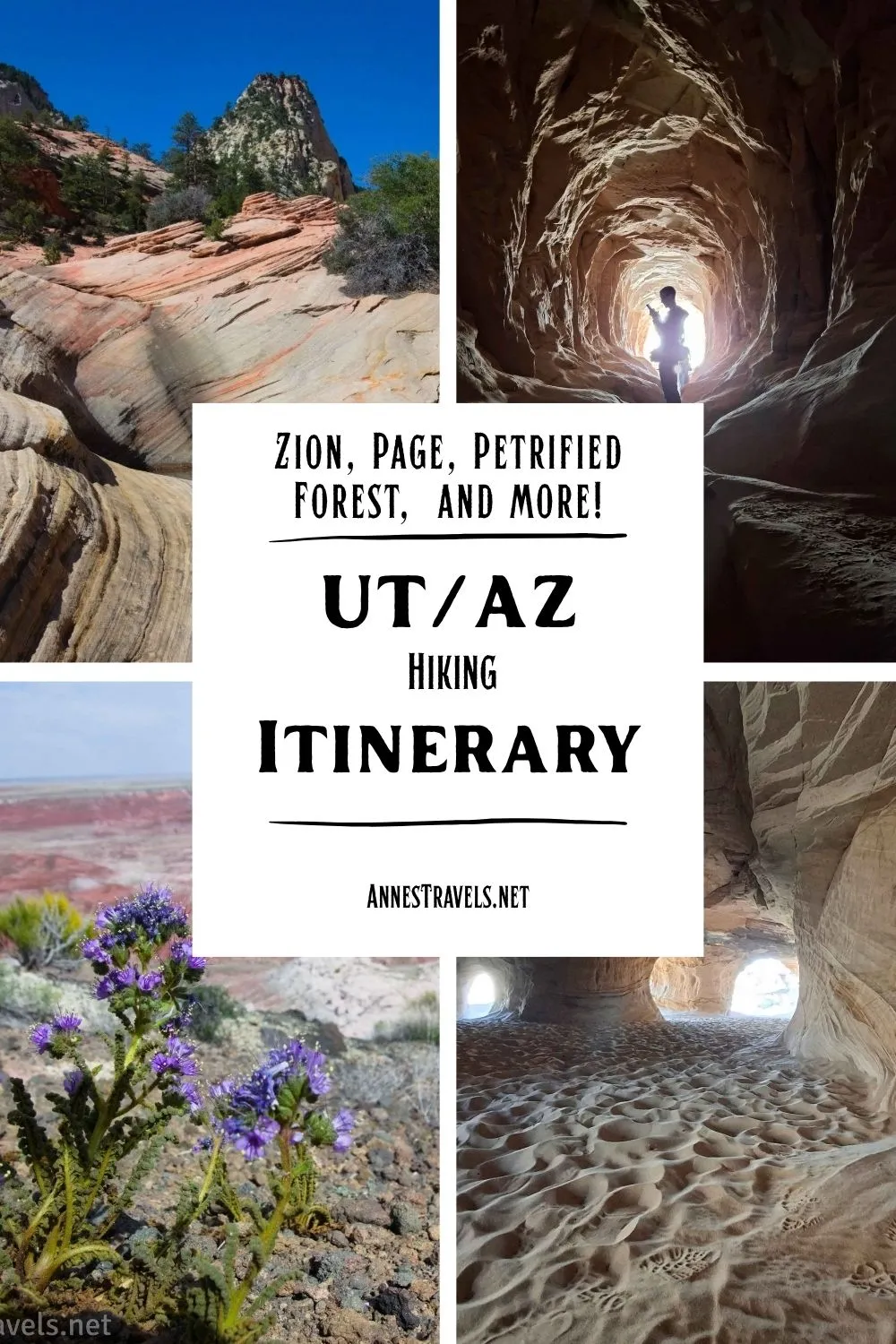 Photo collage of a trip to Petrified Forest, Zion, Page, and more in Utah/Arizona