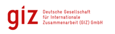 GIZ logo