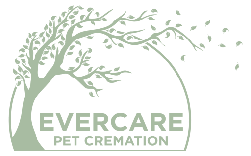 evercare logo