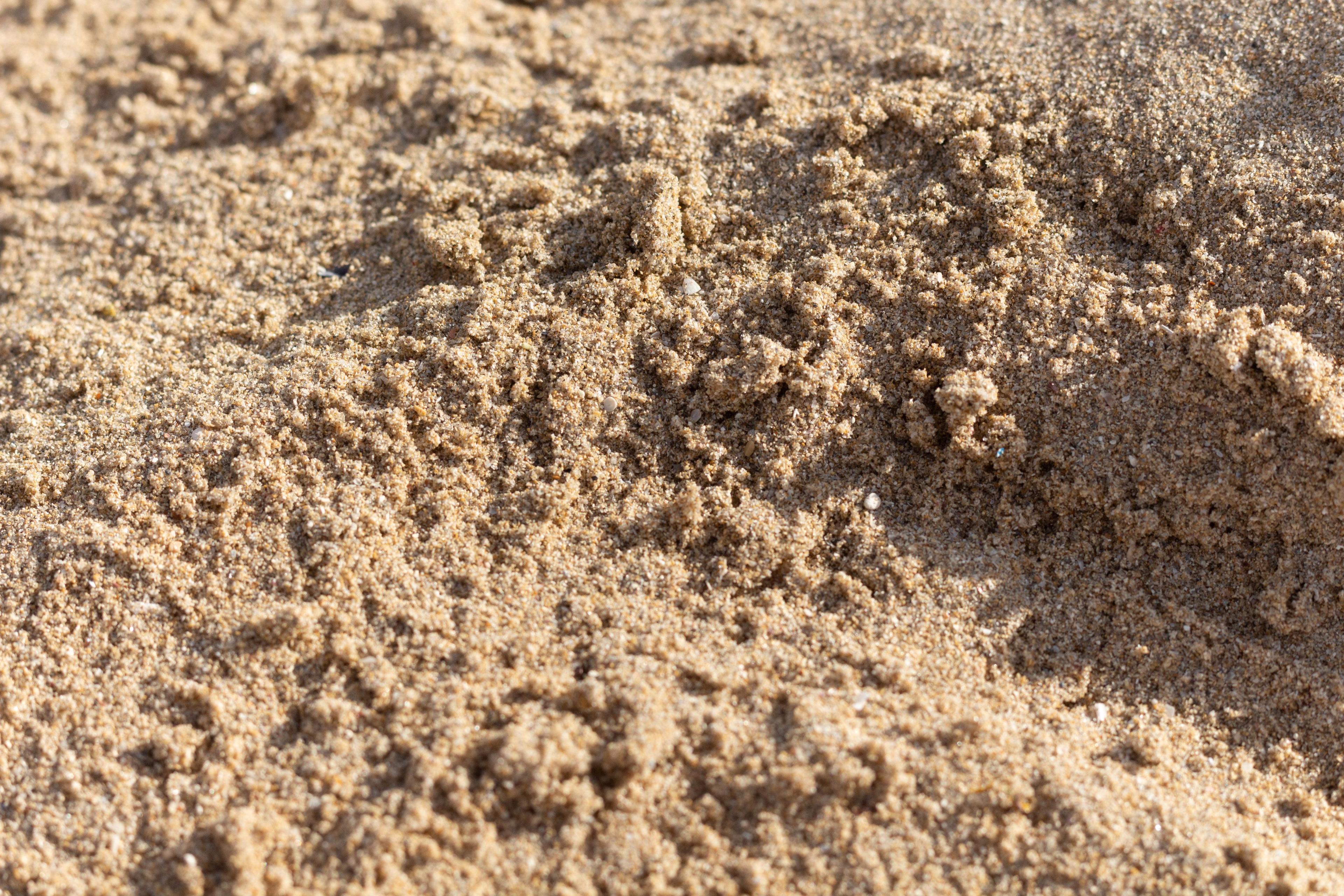 Filling Sand