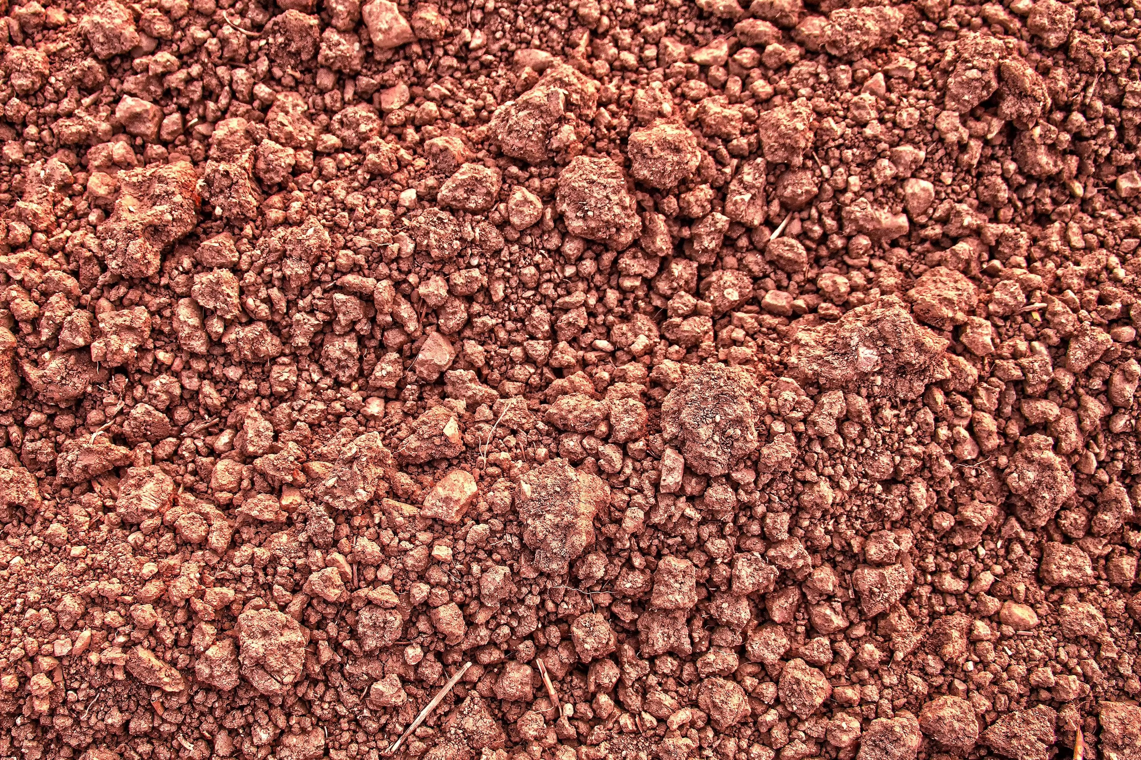 Laterite