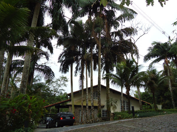 Fachada frontal com jardim e coqueiros imponentes