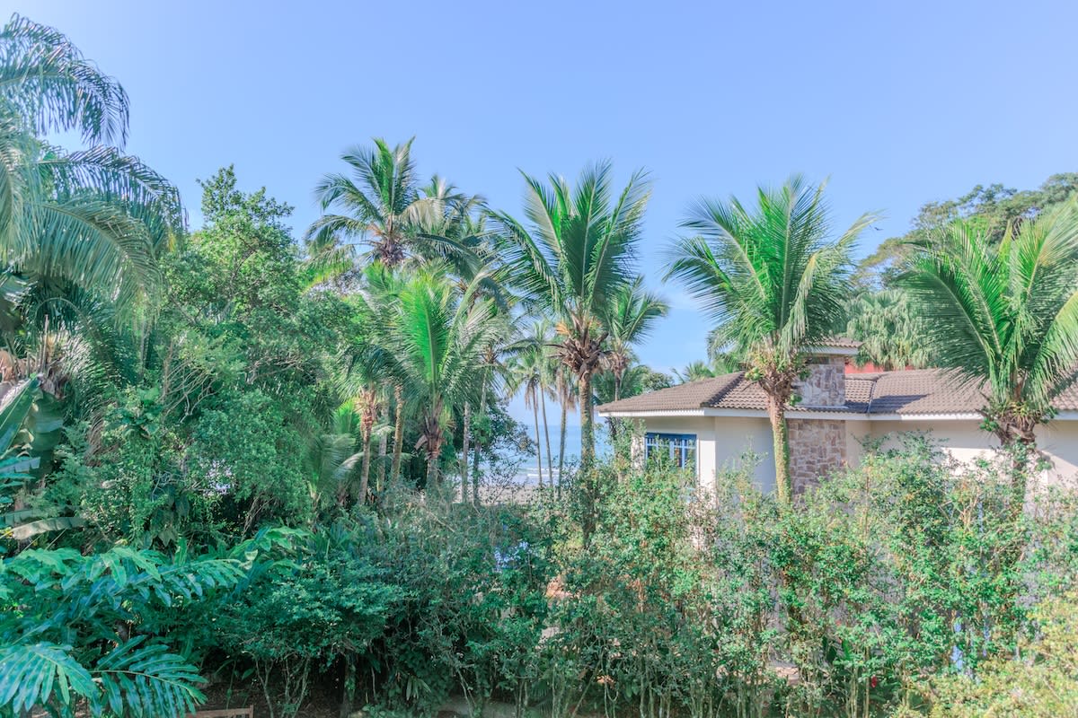 Casa envolta por vegetação tropical preservada