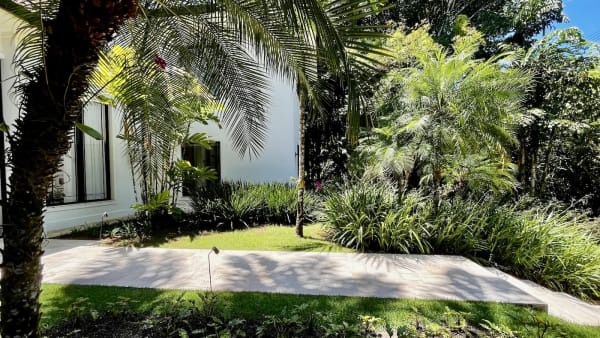 Área verde preservada com luz natural filtrada