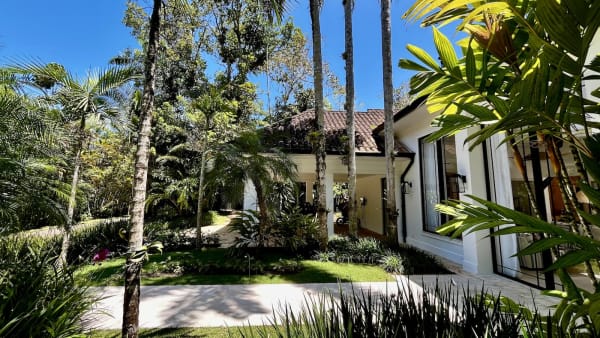 Jardim tropical com palmeiras e vegetação exuberante