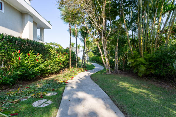 Jardim tropical com caminho em pedra