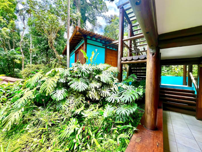 Arquitetura que abraça a natureza – Casa em Tijucopava — foto 29