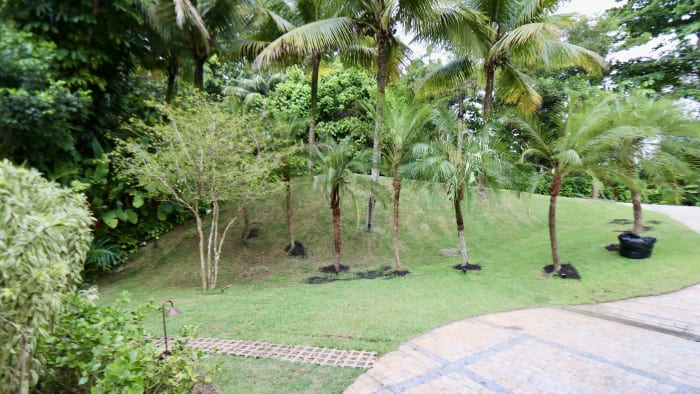 Jardim privativo com palmeiras e gramado