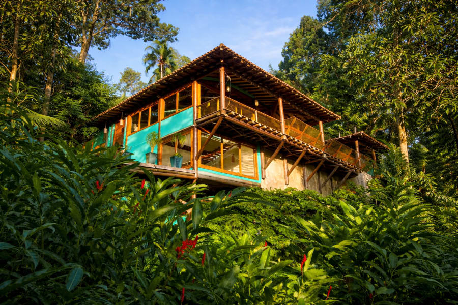 Arquitetura que abraça a natureza – Casa em Tijucopava