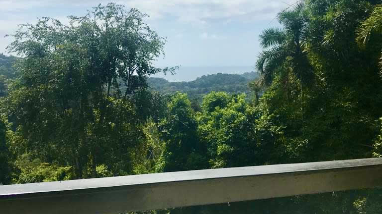 Casa à Venda para Retrofit no Condomínio São Pedro com Vista para o Mar e Terreno Amplo Desmatado