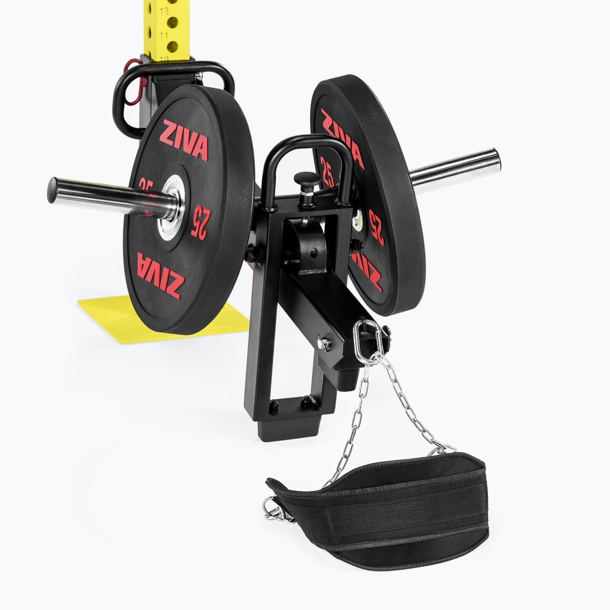 Khung Gánh Tạ, Power Racks & Giàn Rigs (Rigs & Racks) | ZIVA® 134 Phụ Kiện Tập Chân Belt Squat Gắn Khung ZIVA XP